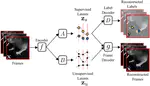 BehaveNet: nonlinear embedding and Bayesian neural decoding of behavioral videos