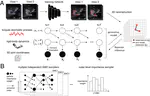 Inverse Articulated-Body Dynamics from Video via Variational Sequential Monte Carlo