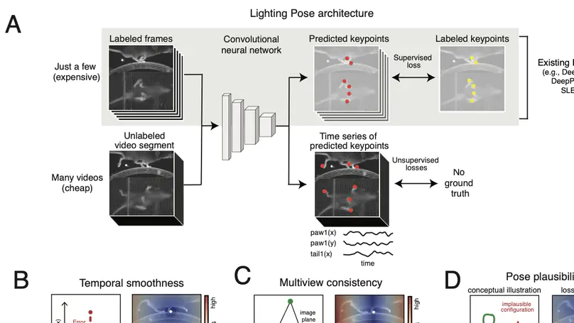 Lightning Pose: improved animal pose estimation via semi-supervised learning, Bayesian ensembling, and cloud-native open-source tools